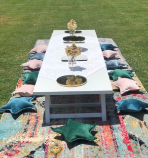 low lying trestle, table, boho, picnic, ceremony, wedding hire, melbourne, prop, kids party, picnic package, birthday, glamping