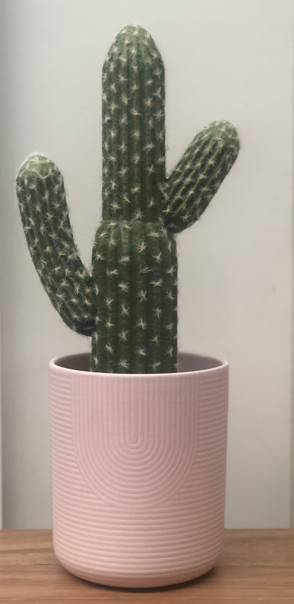 Artificial Cactus 40cm A Day To Remember Event Hire   7462A59A 25CC 49EE 930D AA5B07052340 600x1234 