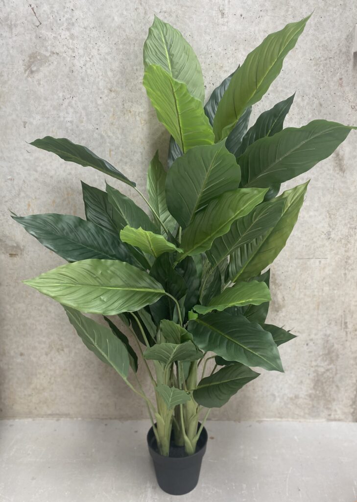 Artificial Peace Lily 1.45mtr A Day to Remember Event Hire