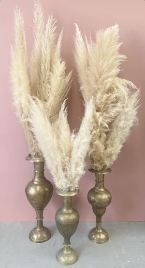 brassware, brass vase, moroccan arabian decor, prop, event hire, melbourne, pampas