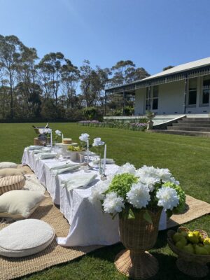 yarra valley, mornington peninsula hire, melbourne event hire, wedding arch, wedding, engagement, henna, mehndi, bridal shower, engagement backdrop, picnic hire, silver, bows